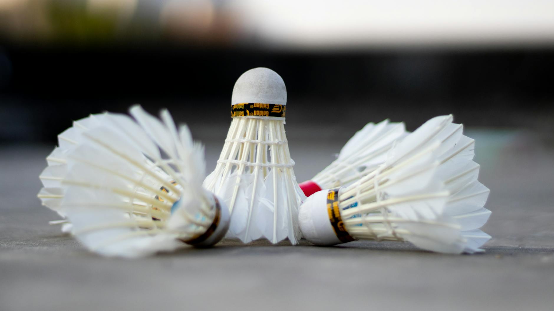 Detailed view of three badminton shuttlecocks laying on a court surface.